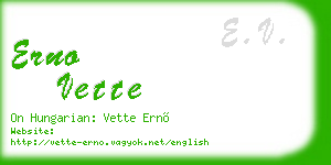 erno vette business card